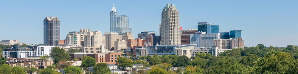 find trusted detailing pros in Raleigh