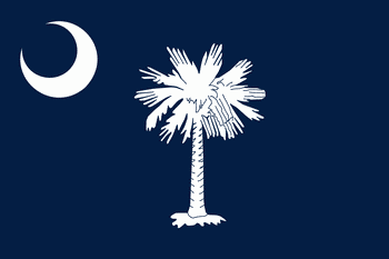 South Carolina mobile detailing