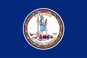 Virginia mobile detailing